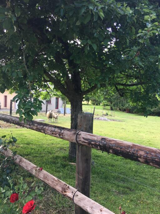 Gite De La Poupardiere, Maison De Campagne En Bordure De Riviere - 2 Nuits Minimum Villa Les Cresnays Exterior foto